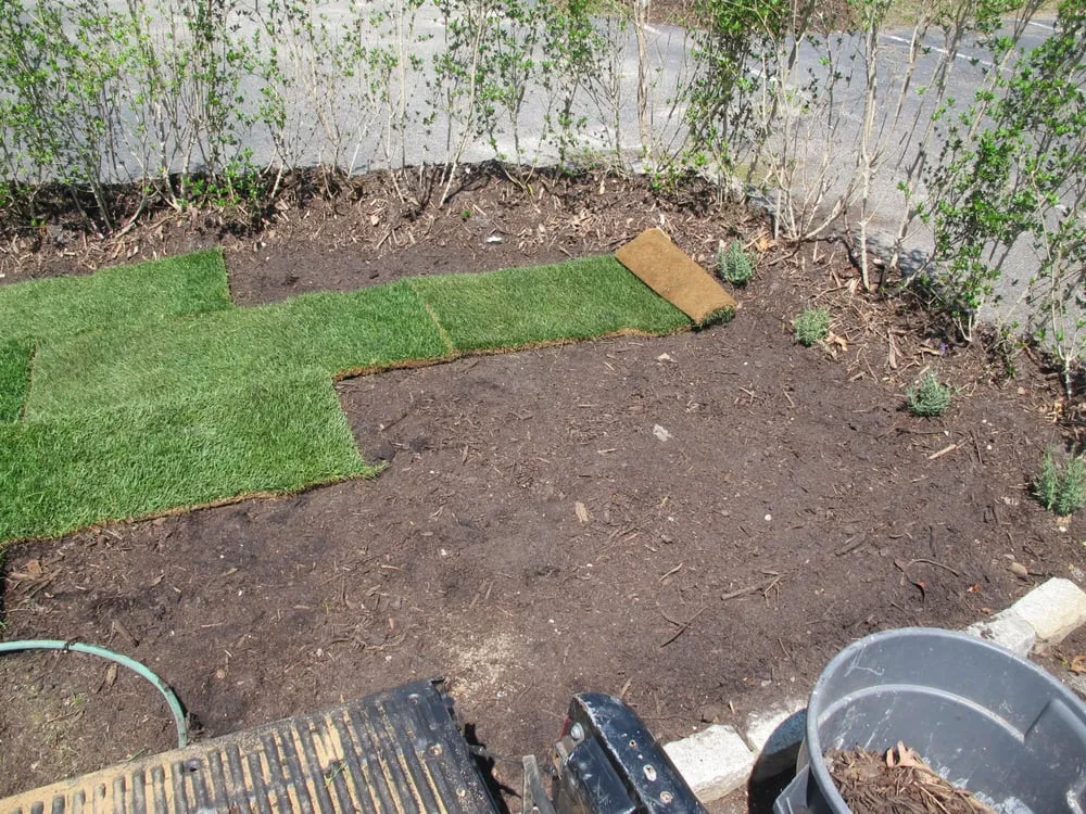 Trusted yard maintenance experts serving Woodside, NY - New York Garden Design & Landscape