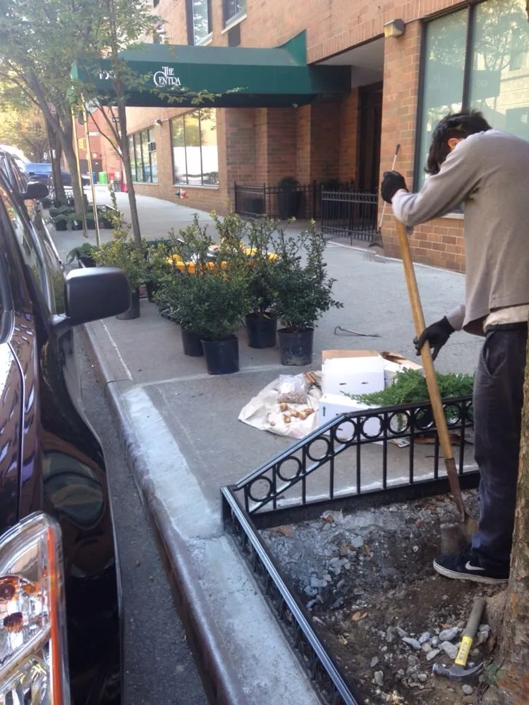 Top-rated landscape design in Woodside, NY by New York Garden Design & Landscape