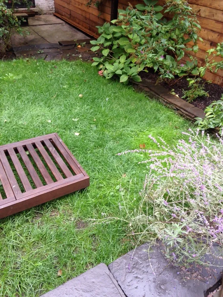 Reliable residential landscaping for year-round maintenance across Woodside, NY - New York Garden Design & Landscape