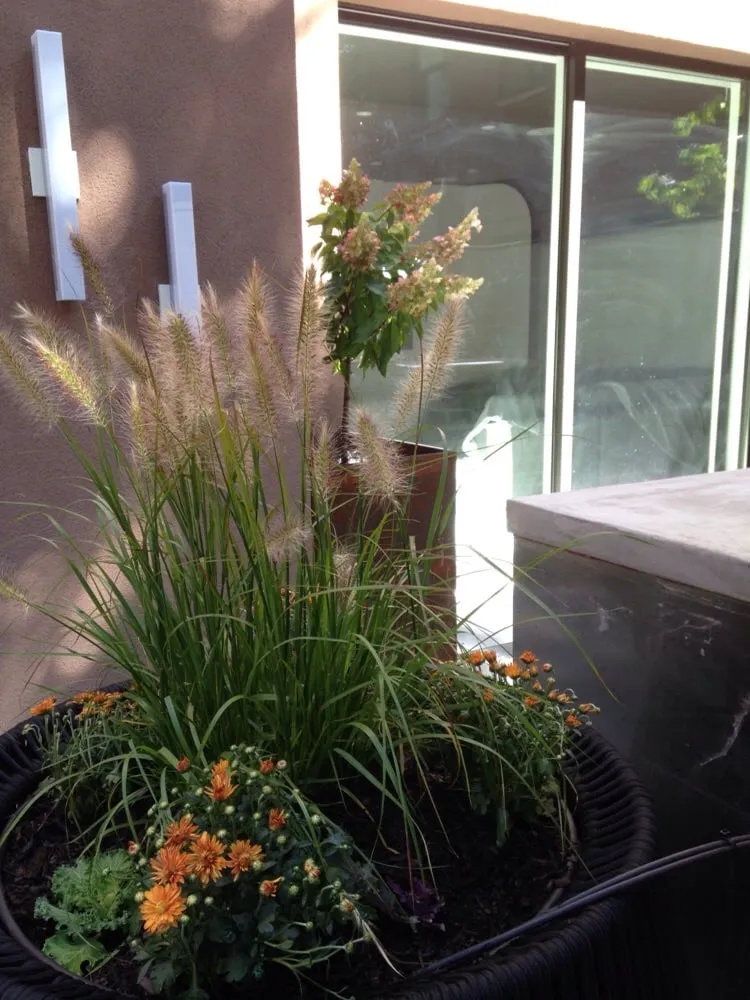 Reliable landscaping services for year-round maintenance in Woodside, NY by New York Garden Design & Landscape