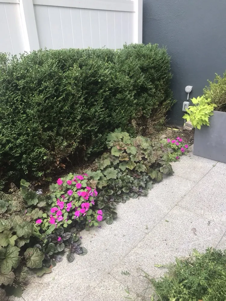 Affordable lawn care service in Woodside, NY - New York Garden Design & Landscape
