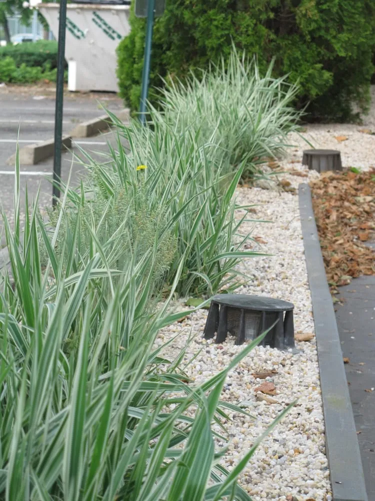 Expert landscape design in Woodside, NY - New York Garden Design & Landscape