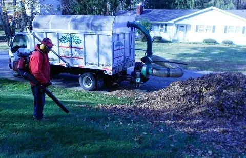 Professional yard cleanup service in Poughkeepsie, NY - New York Landscape Management inc.