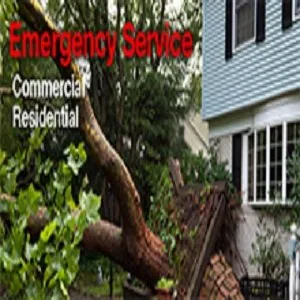 Reliable outdoor landscaping with custom design in Bay Shore, NY by New York Long Island Tree service