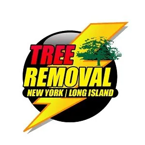 Professional yard cleanup service in Bay Shore, NY by New York Long Island Tree service