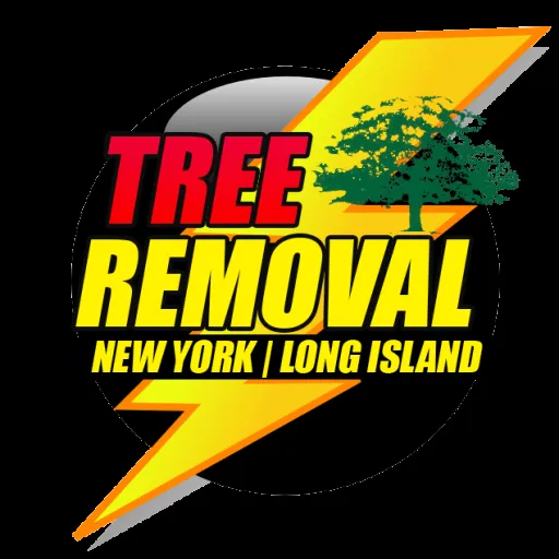 Reliable yard maintenance experts serving Bay Shore, NY - New York Long Island Tree service