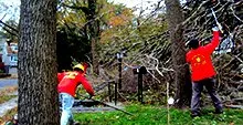 Local landscaping services for homes across Bay Shore, NY - New York Long Island Tree service