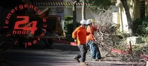 Affordable garden landscaping in Bay Shore, NY - New York Long Island Tree service