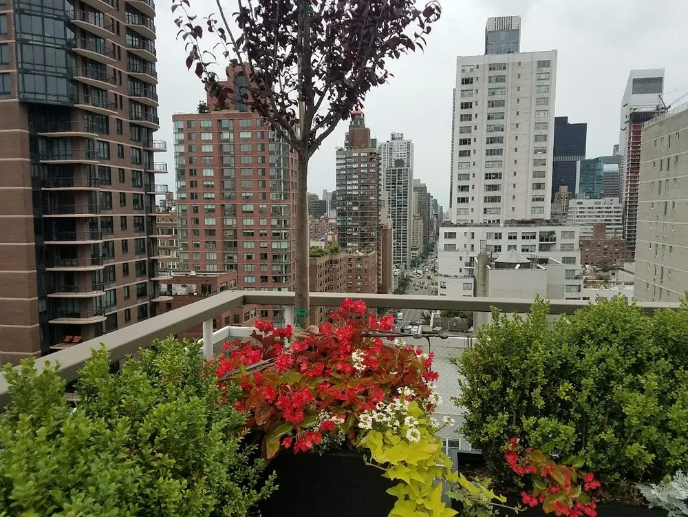Reliable residential landscaping in New York, NY - New York Plantings Garden Design