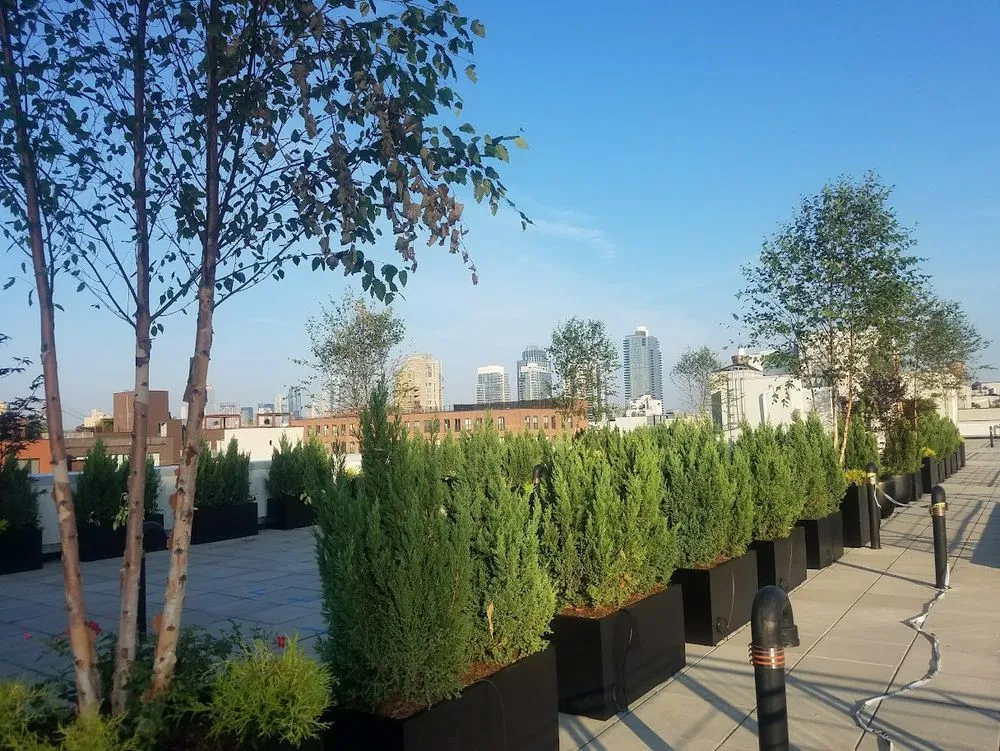 Professional lawn care service near you in New York, NY by New York Plantings Garden Design