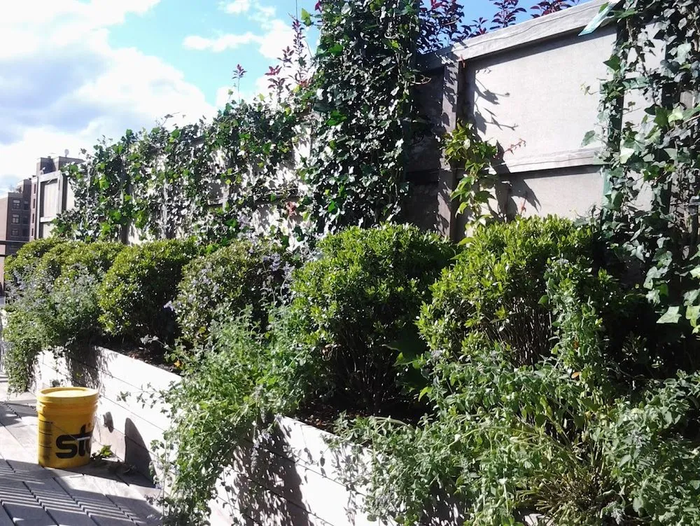 Reliable landscape design in New York, NY - New York Plantings Garden Design