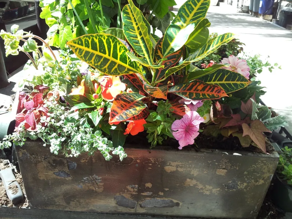 Top-rated yard maintenance experts serving New York, NY - New York Plantings Garden Design