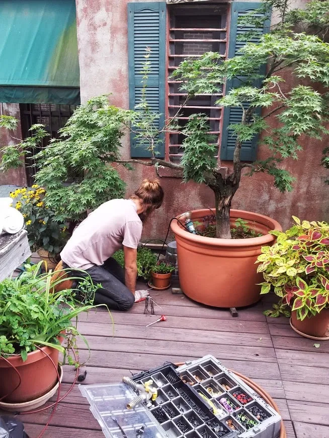 Professional lawn care service for beautiful yards in New York, NY by New York Plantings Garden Design