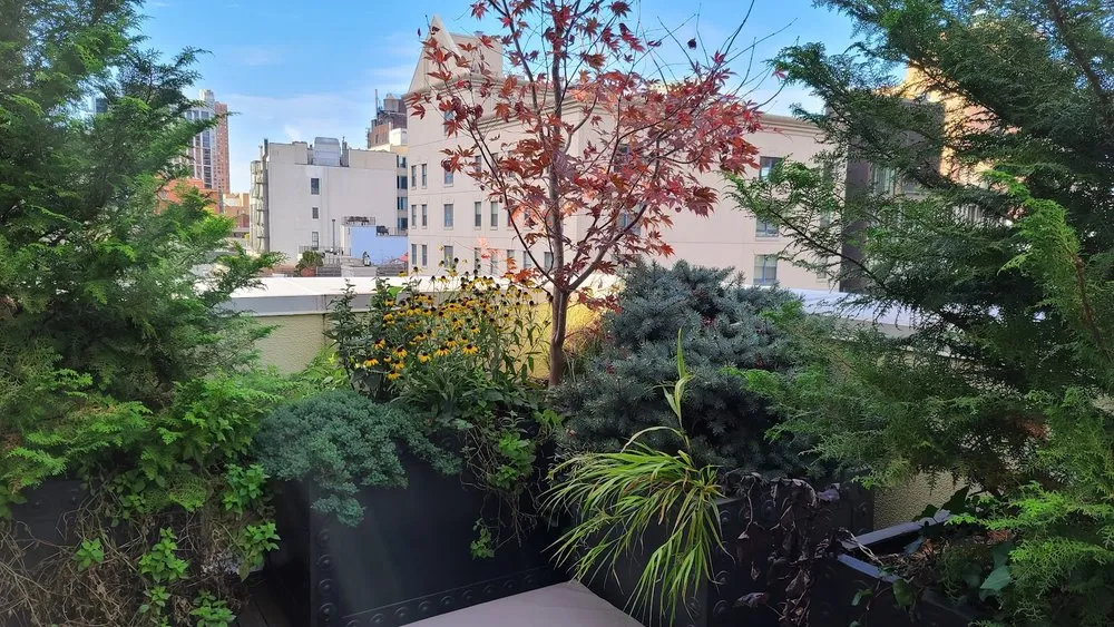 Professional lawn care service for homes in New York, NY by New York Plantings Garden Design