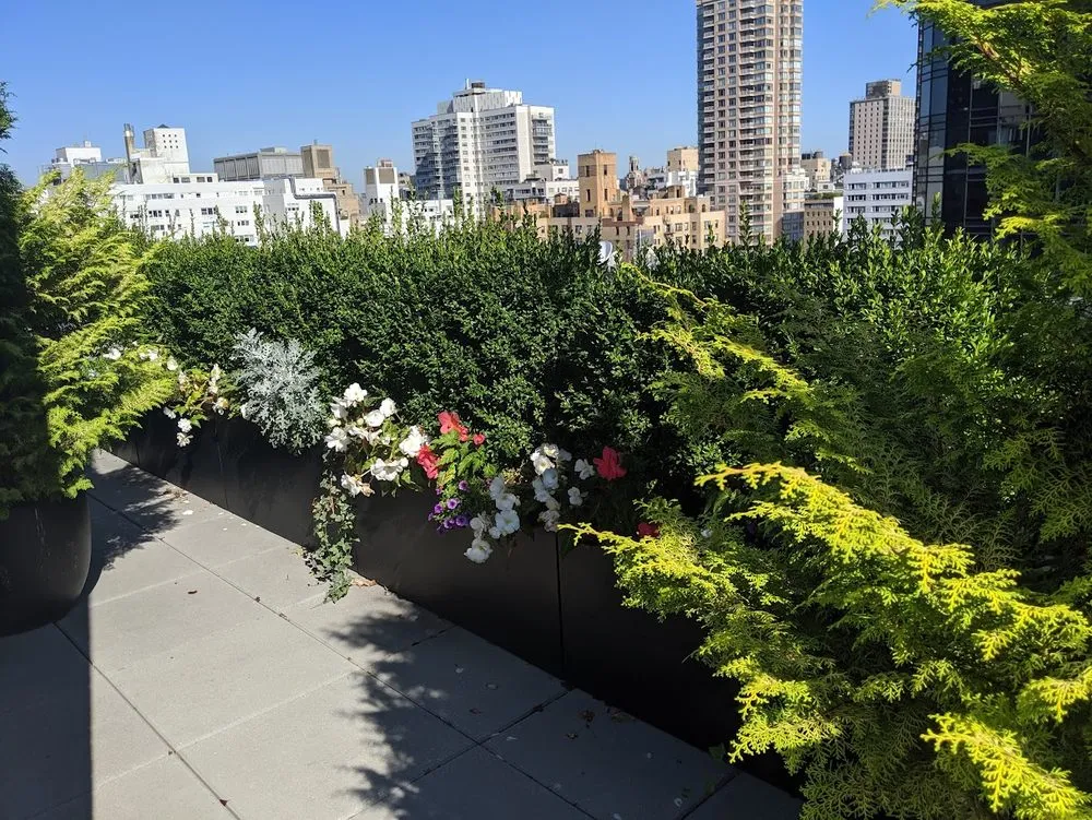 Expert landscaping services for beautiful yards in New York, NY by New York Plantings Garden Design