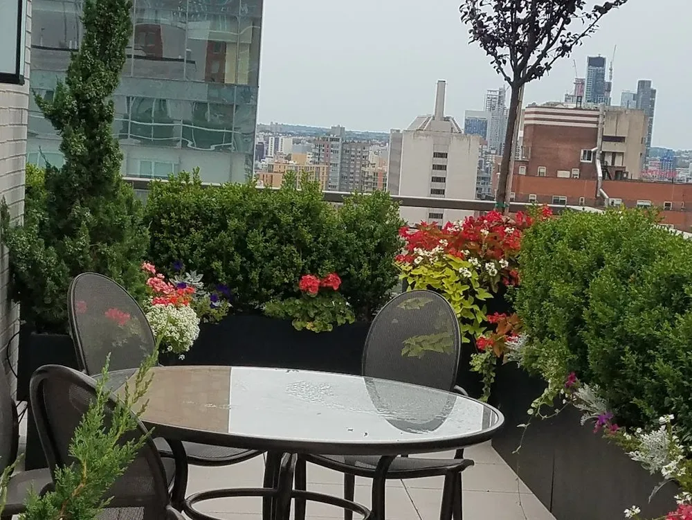 Top-rated yard cleanup service in New York, NY - New York Plantings Garden Design