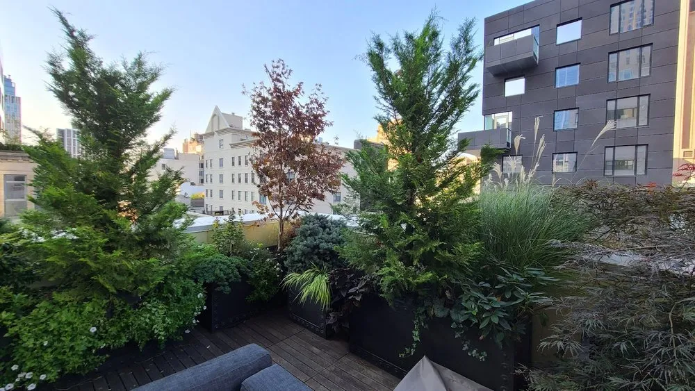 Trusted lawn mowing service near you in New York, NY by New York Plantings Garden Design