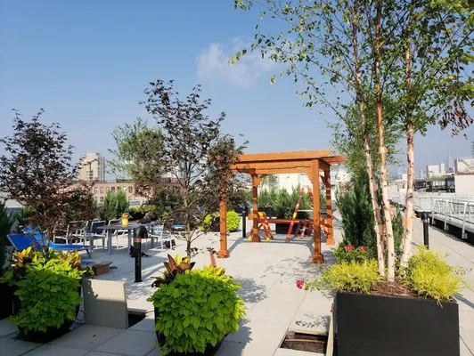 New York Plantings Garden Design Logo