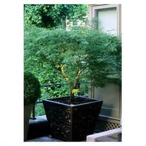 Top-rated residential landscaping in New York, NY - New York Plantings