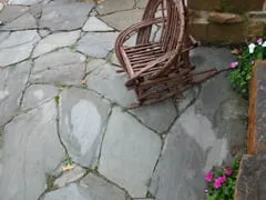 Local yard maintenance in New York, NY by New York Plantings