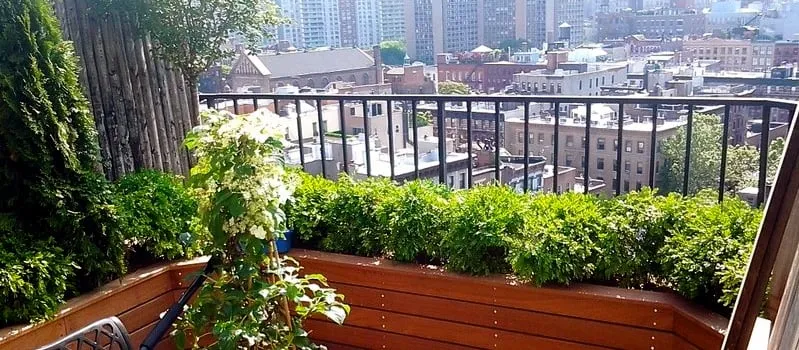 Top-rated landscape design for outdoor upgrades in New York, NY by New York Plantings