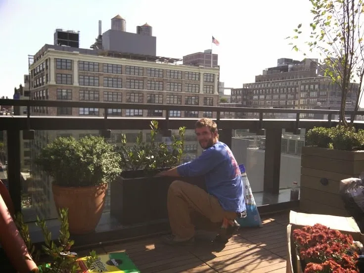 Professional lawn mowing service for year-round maintenance across New York, NY - New York Plantings