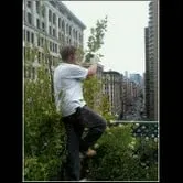 Expert outdoor landscaping experts serving New York, NY - New York Plantings