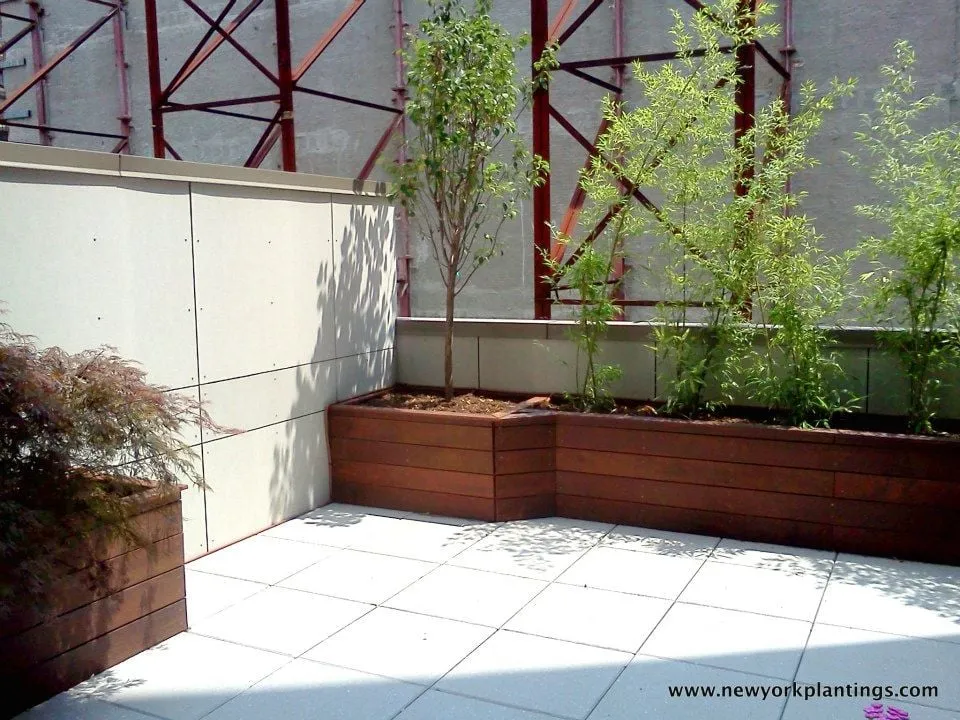 Affordable landscape design for homes in New York, NY by New York Plantings
