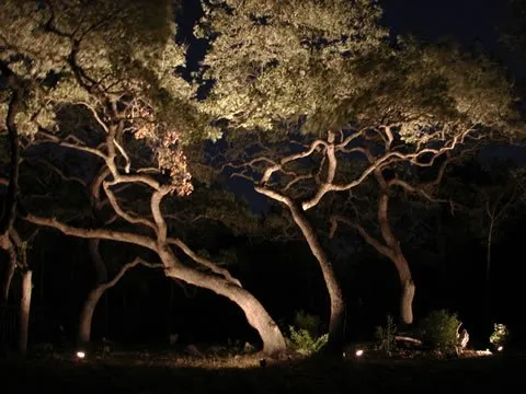 Trusted garden landscaping in New Braunfels, TX by Newberry Landscape