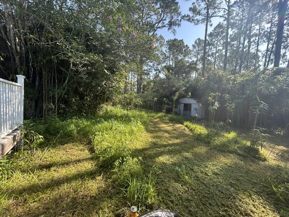 Reliable lawn mowing service for homes across Osteen, FL - Newberrys All Season Lawn Maintenance