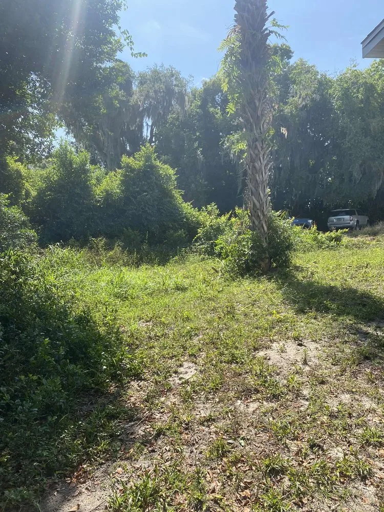 Custom lawn mowing service in Osteen, FL by Newberrys All Season Lawn Maintenance