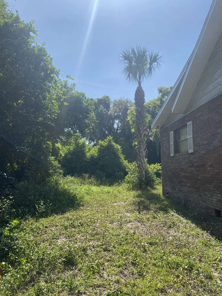Local residential landscaping in Osteen, FL - Newberrys All Season Lawn Maintenance