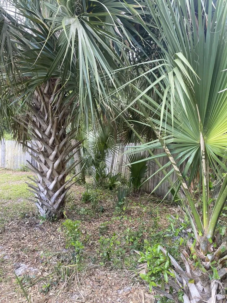 Expert outdoor landscaping for homes in Osteen, FL by Newberrys All Season Lawn Maintenance