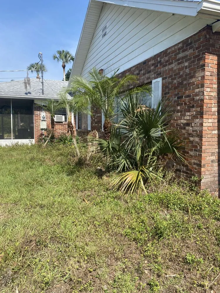 Local residential landscaping in Osteen, FL - Newberrys All Season Lawn Maintenance