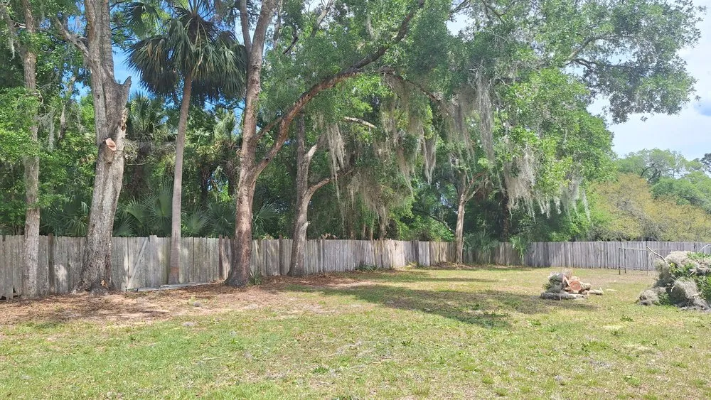 Top-rated lawn mowing service in Osteen, FL by Newberrys All Season Lawn Maintenance