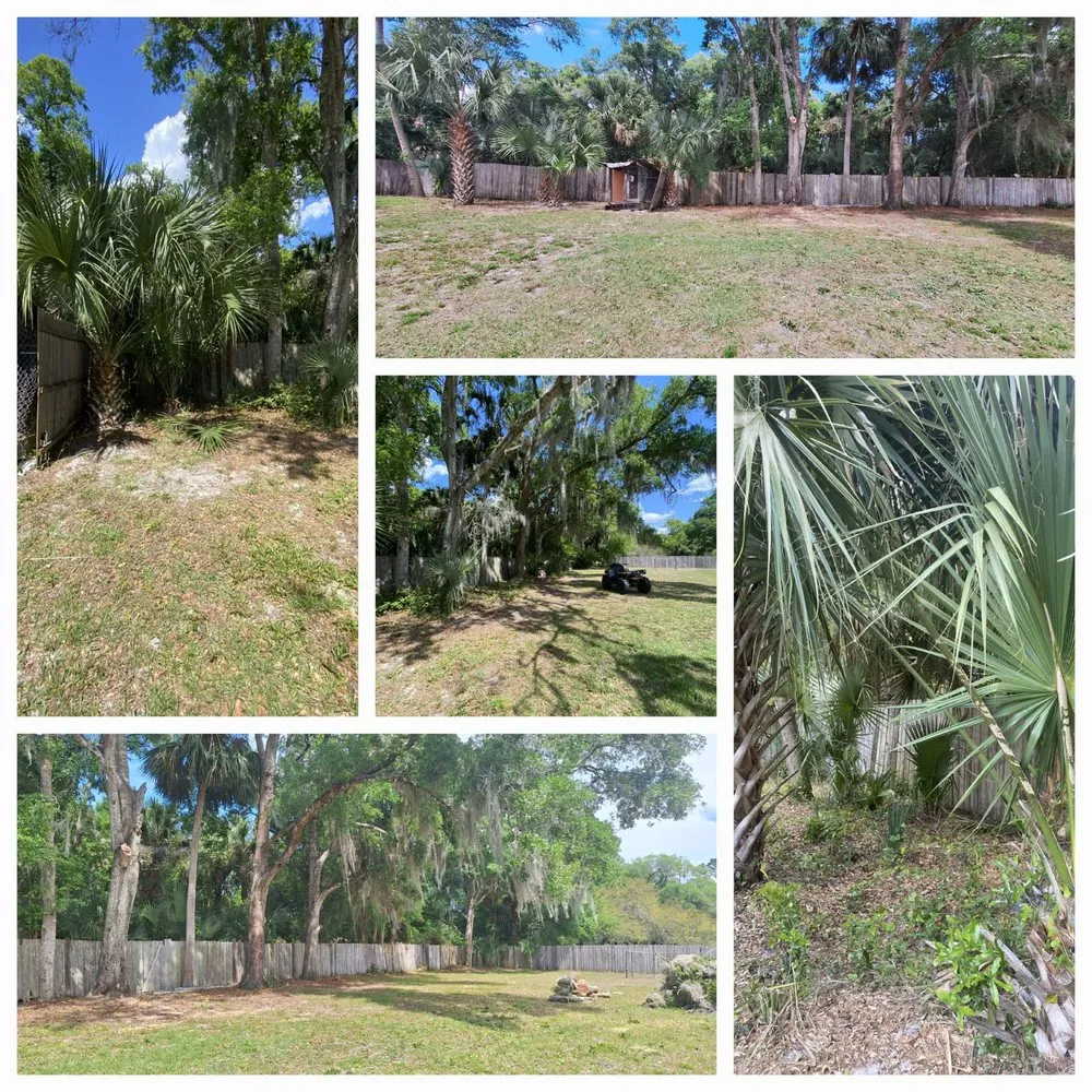 Professional garden landscaping in Osteen, FL by Newberrys All Season Lawn Maintenance