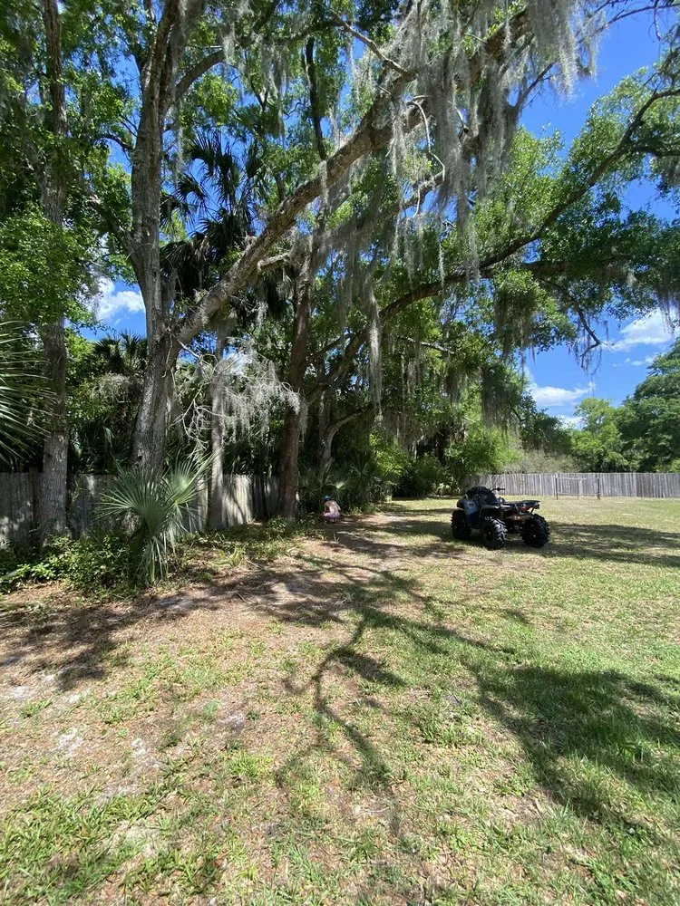 Professional lawn care service in Osteen, FL - Newberrys All Season Lawn Maintenance