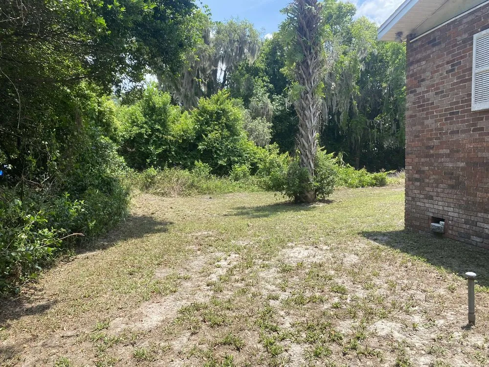 Reliable landscaping services in Osteen, FL - Newberrys All Season Lawn Maintenance