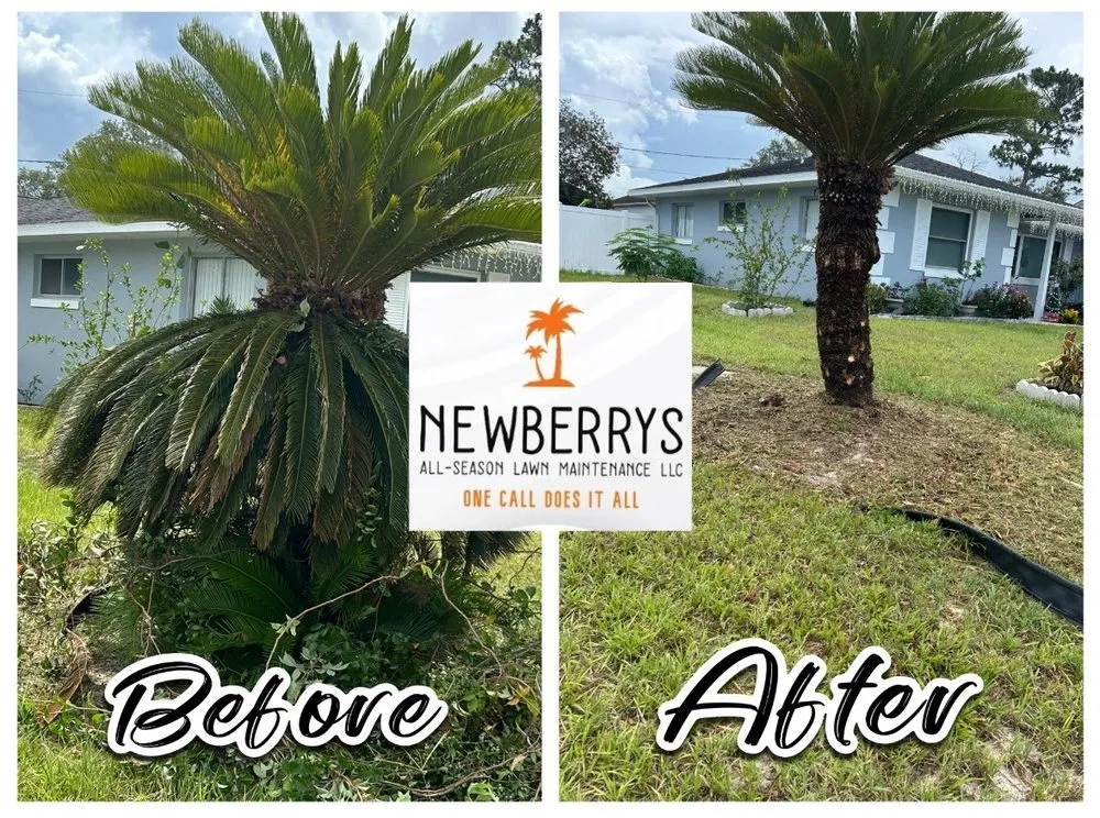 Trusted lawn care service experts serving Osteen, FL - Newberrys All Season Lawn Maintenance