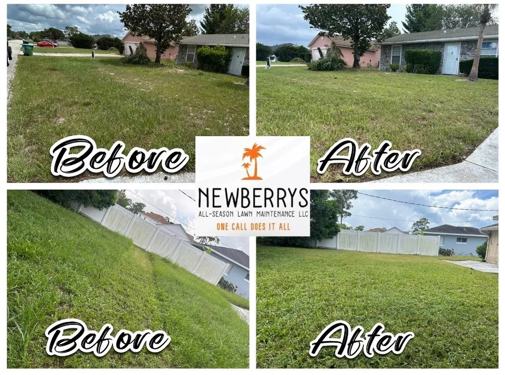 Trusted yard maintenance in Osteen, FL by Newberrys All Season Lawn Maintenance