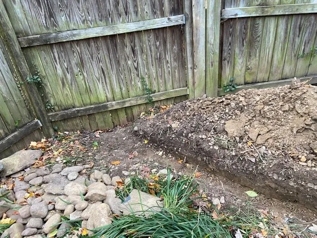 Expert yard maintenance in Arlington, VA by Newborg Drainage & Landscaping