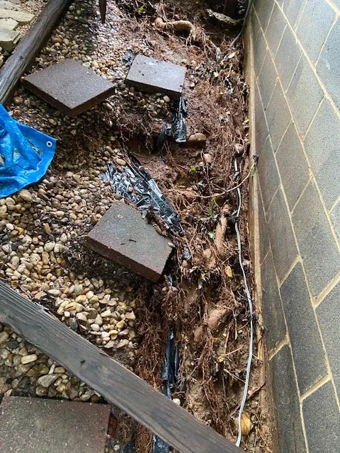 Professional landscape installation for homes in Arlington, VA by Newborg Drainage & Landscaping