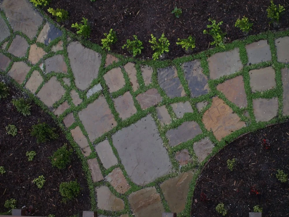 Trusted landscaping services in Fountain Valley, CA - NewCastle Landscaping