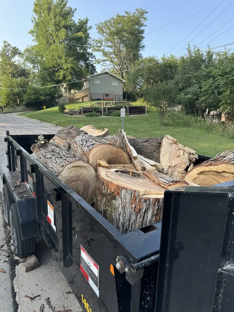 Trusted yard maintenance in Springfield, NE - Newco Lawn And Landscape