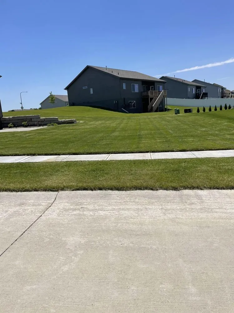 Reliable yard maintenance in Springfield, NE - Newco Lawn And Landscape