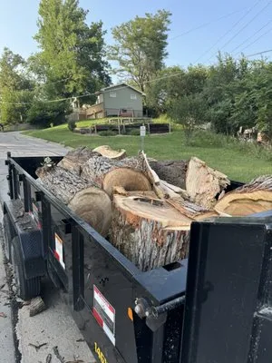 Newco Lawn And Landscape