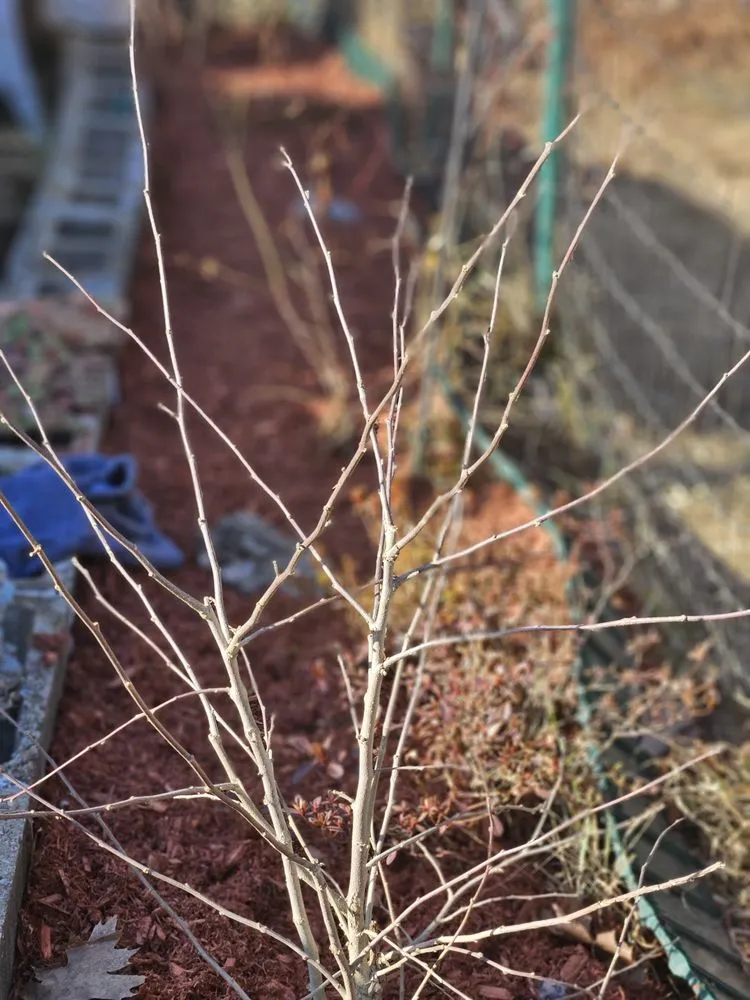 Expert landscaping services with custom design across Chester, VT - Newcomb Mowing