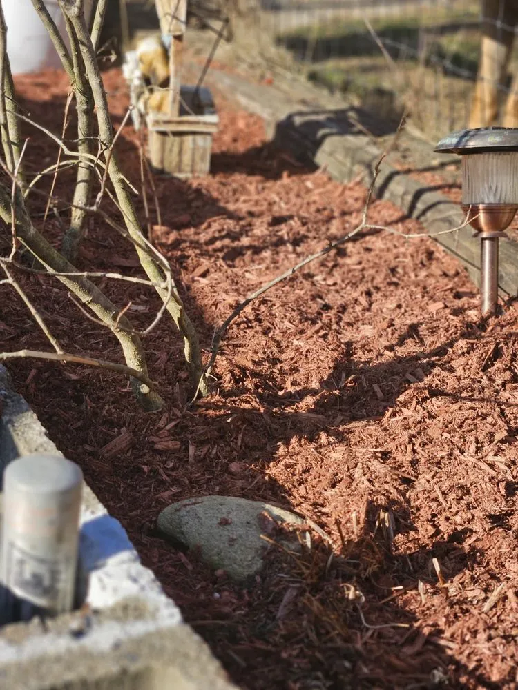 Top-rated outdoor landscaping for residential properties in Chester, VT by Newcomb Mowing