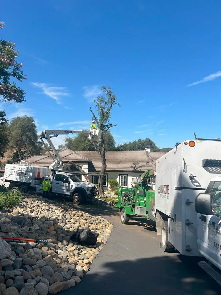 Reliable garden landscaping for beautiful yards across Placerville, CA - Newcomb Tree Experts
