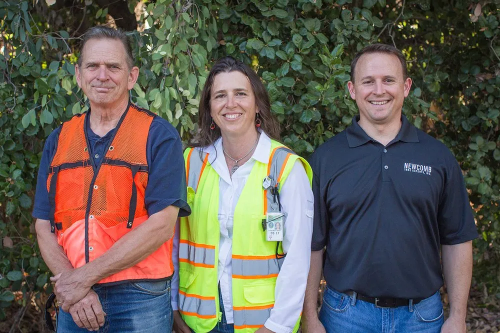 Reliable garden landscaping with custom design in Placerville, CA by Newcomb Tree Experts